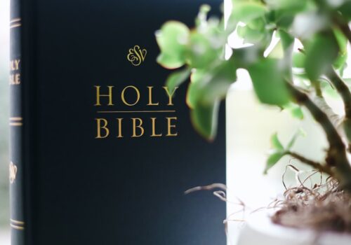 Zorginstellingen die medische documenten willen vertalen